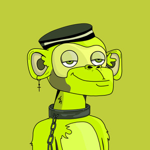 monkeys_land: 206
