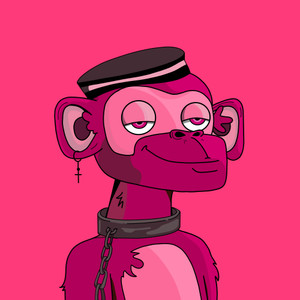 monkeys_land: 207