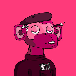 monkeys_land: 164